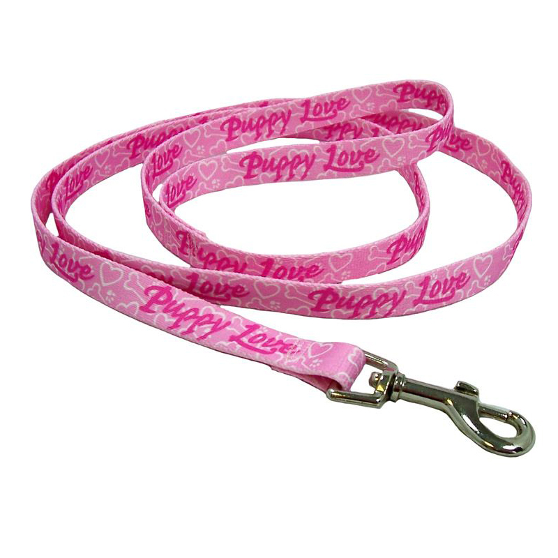 Custom Heated Dog Leash - 副本
