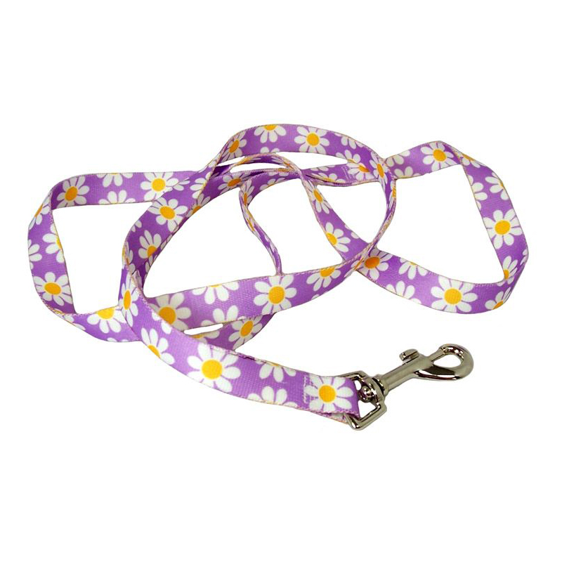 Polyester Dog Leash